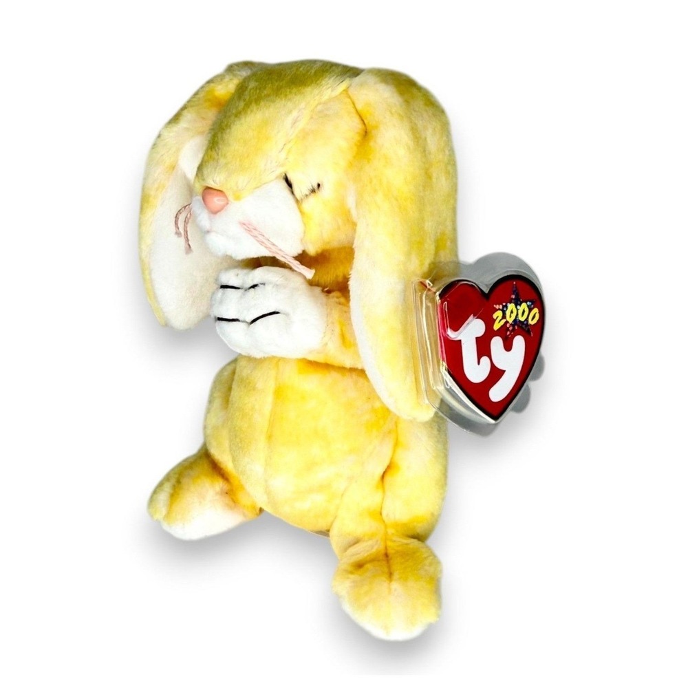 Hope II the Bear | Prayerful Companion | Mint Heart Tag TY Beanie Baby